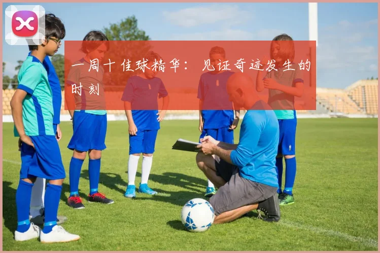 一周十佳球精华：见证奇迹发生的时刻