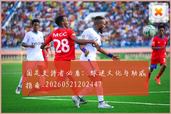 国足支持者必看：球迷文化与助威指南_20260521202447